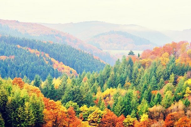 101 Inspirational Fall Quotes for a Positive, Motivated and Happy Autumn Season